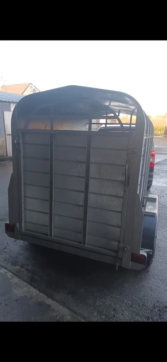 A Devine Engineering cattle Trailers - Image 2