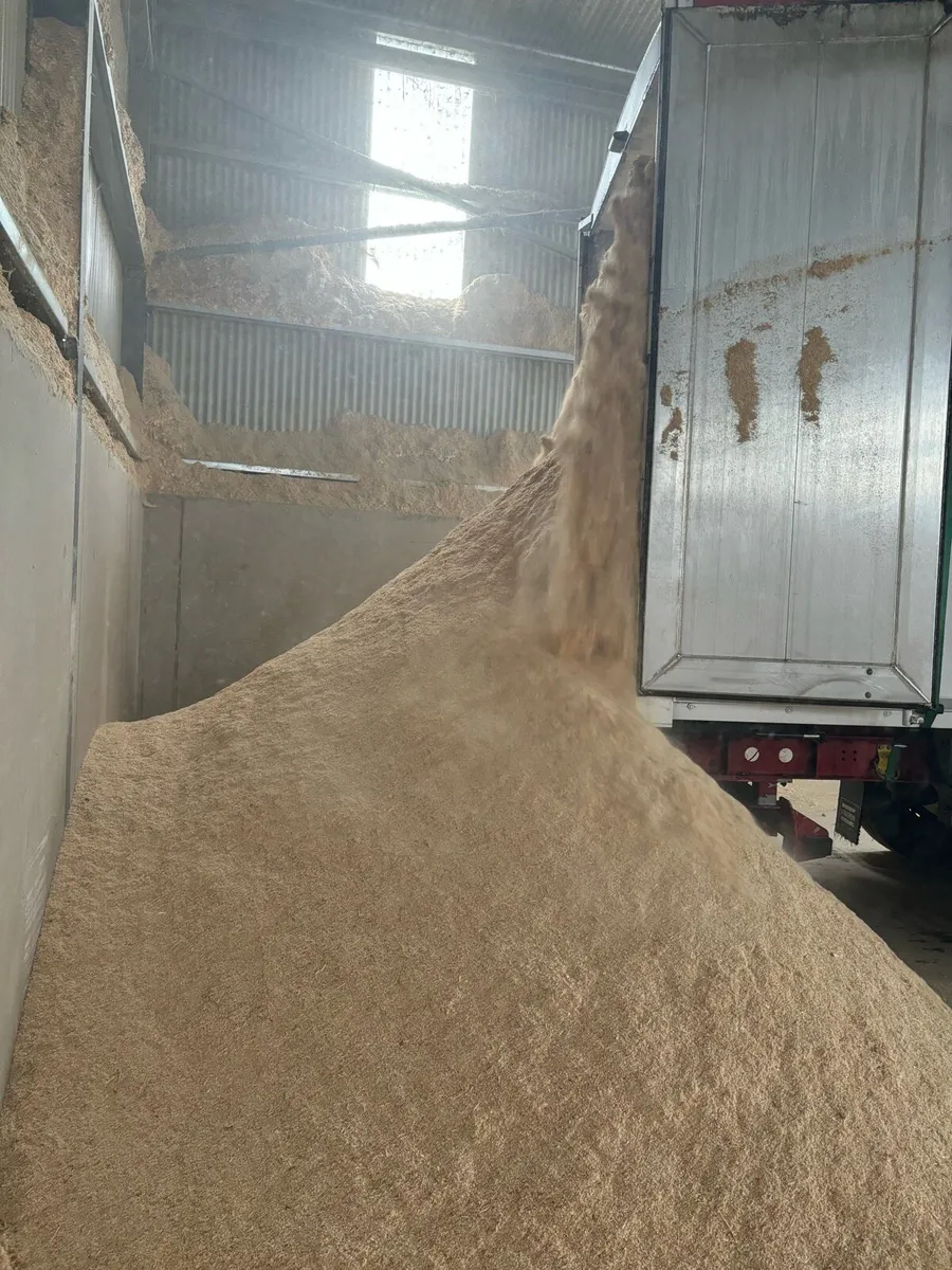 Sawdust and wood chip - Image 1