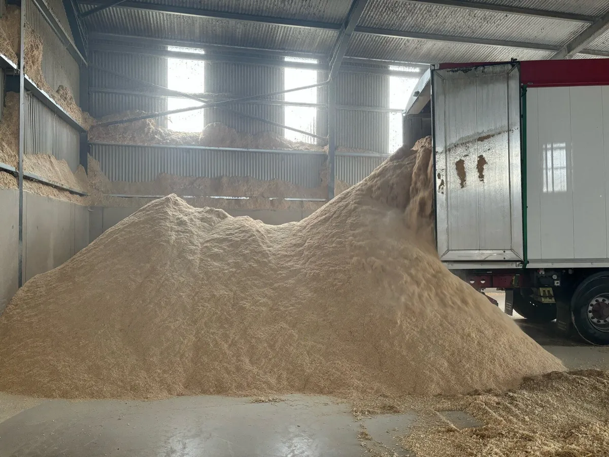 Sawdust and wood chip - Image 2