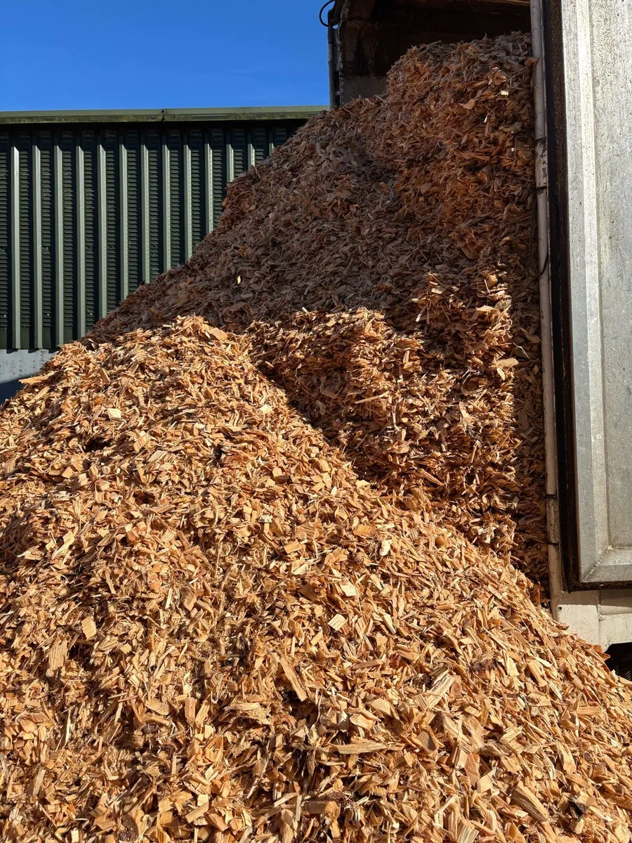 Sawdust and wood chip - Image 3