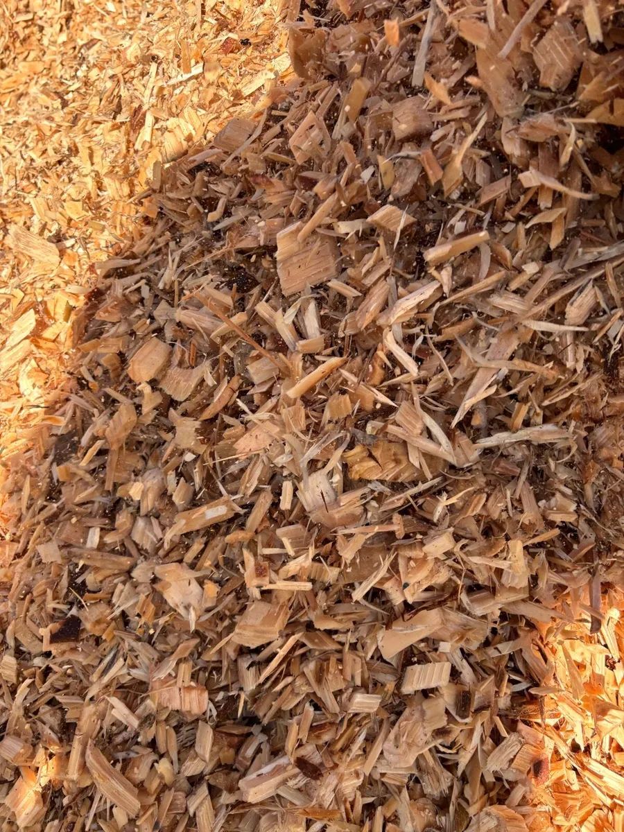 Sawdust and wood chip - Image 4