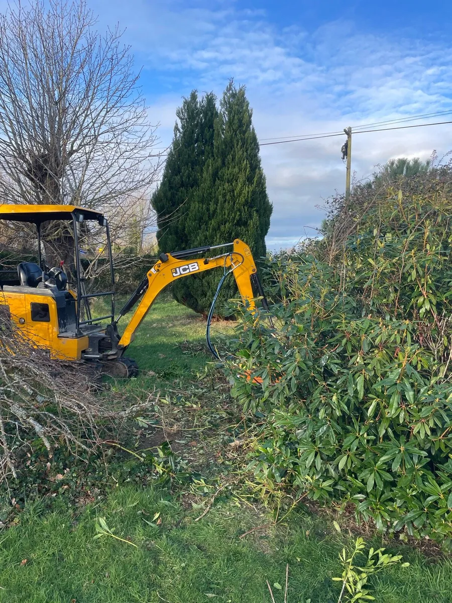 Mini digger and Flail Hedgecutter - Image 1