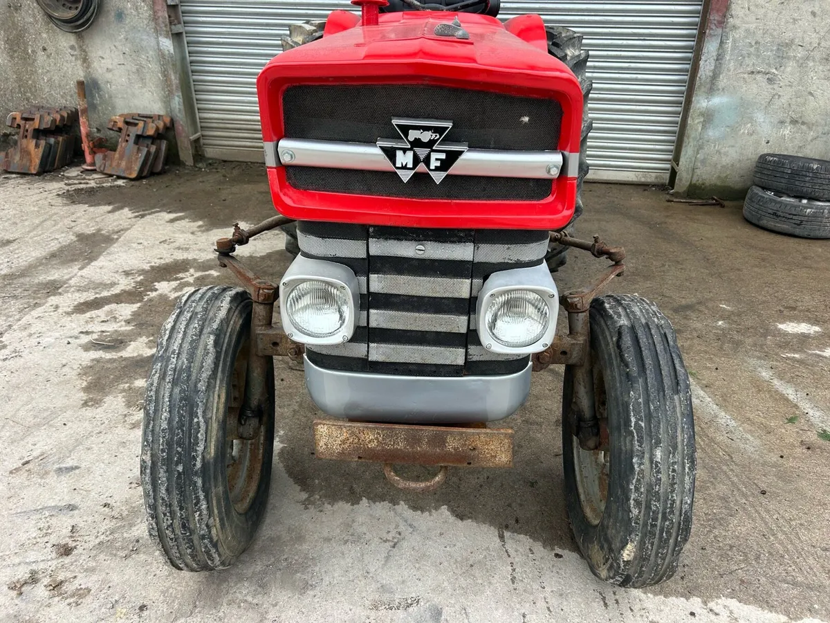 Vineyard 135 - Image 4