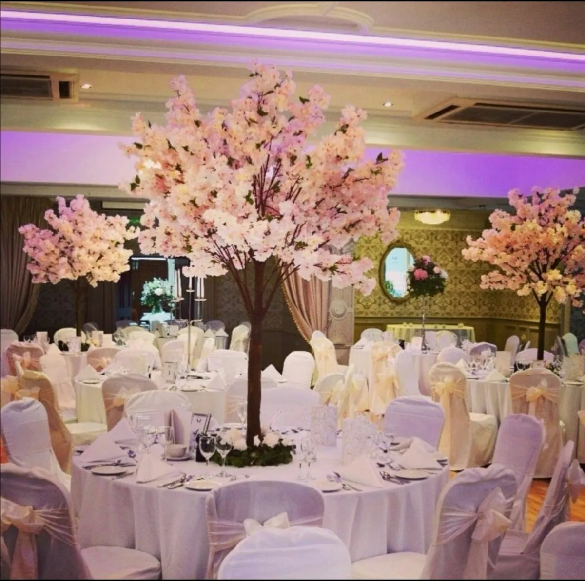 Blossom Trees - Image 3