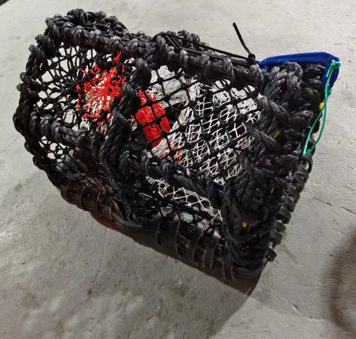 22x16 inch lobster / crab pots - Image 1