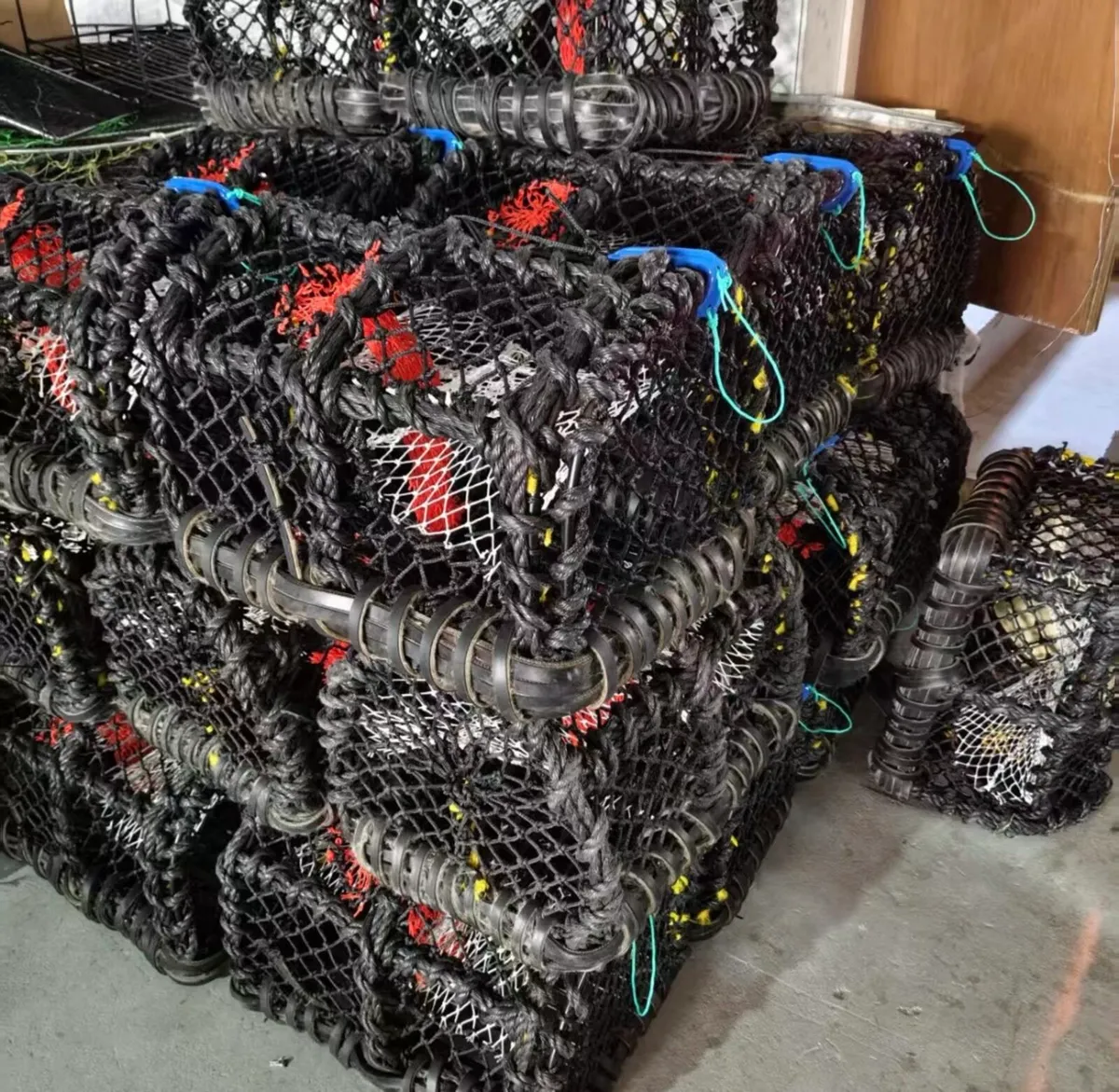 22x16 inch lobster / crab pots - Image 2
