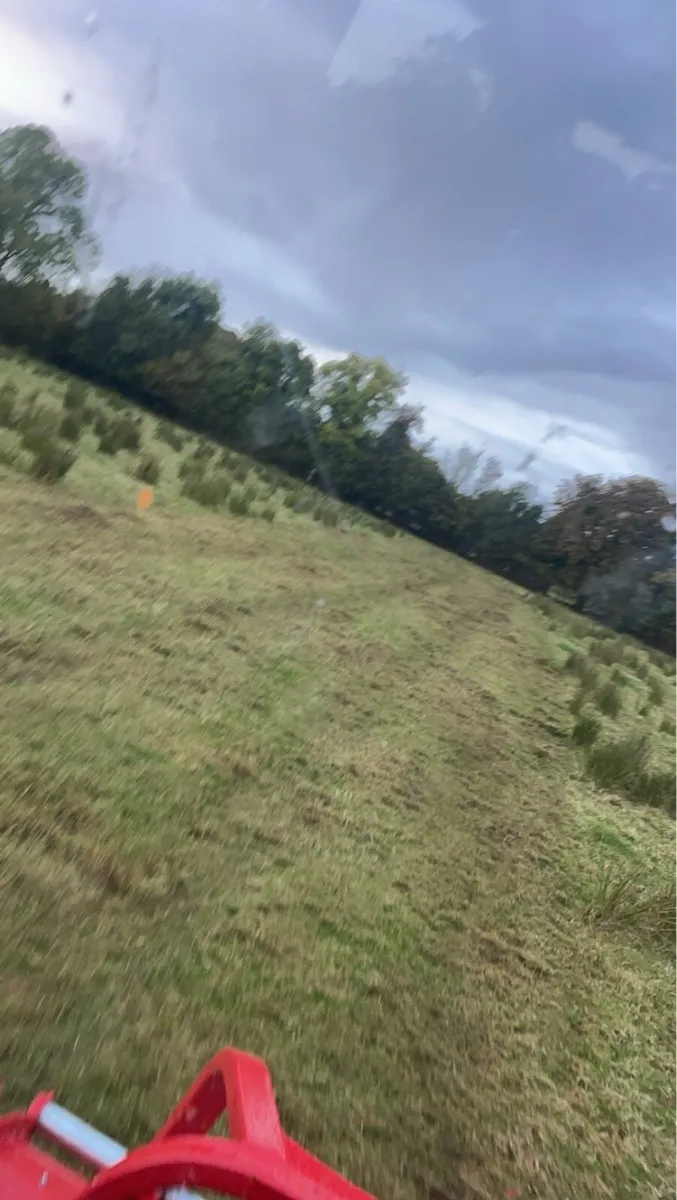 Mulching - Image 4