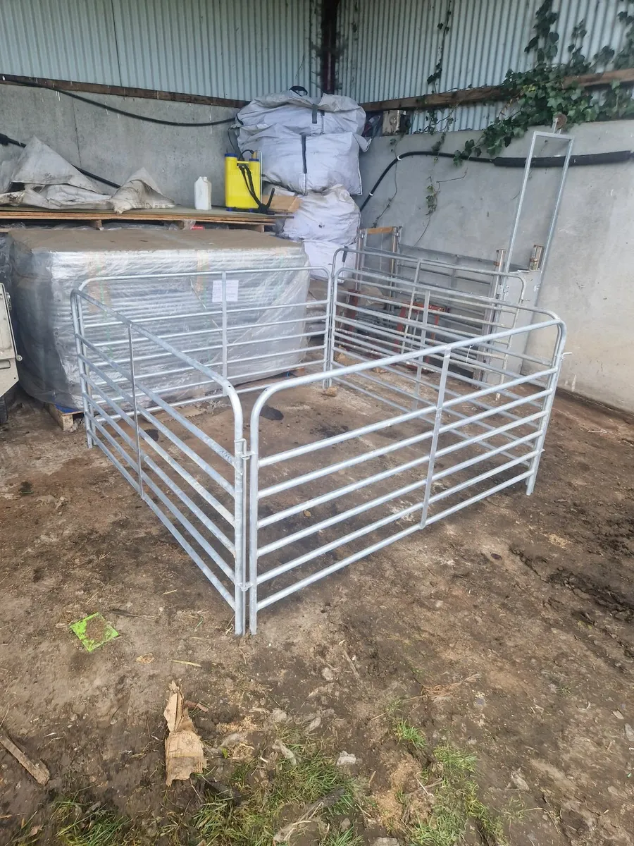 sheep hurdles