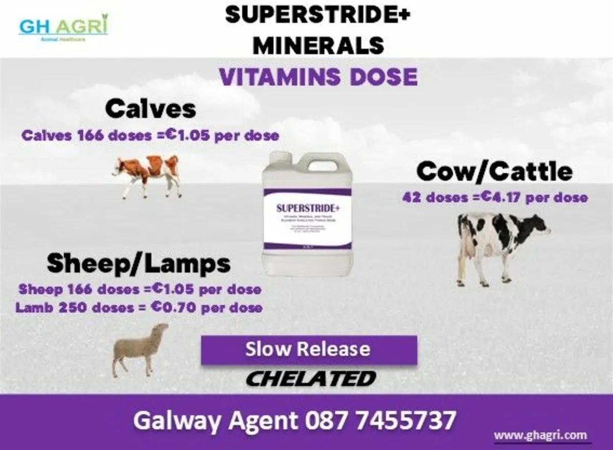 Order Chelated  Mineral + Vitamins (Galway) - Image 4