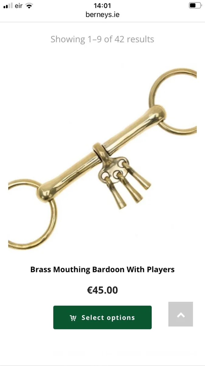 AS NEW - RRP €220 : Berney Show Bridle - Image 2