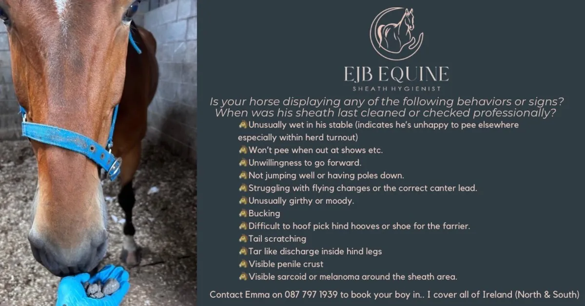 Sheath Cleaning Service - Image 2