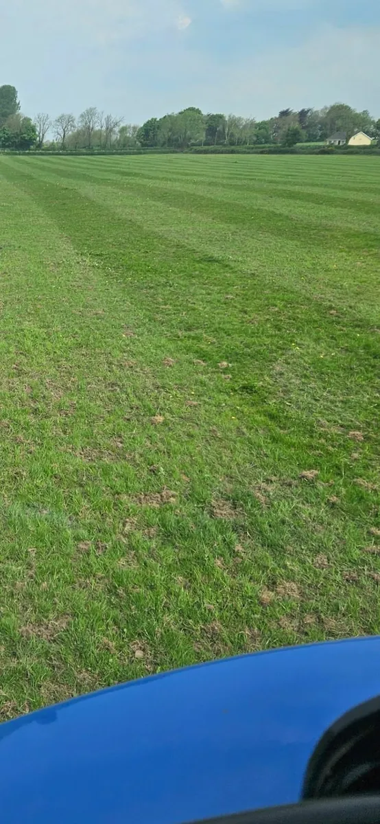 Reseeding / Grass stitching - Image 4