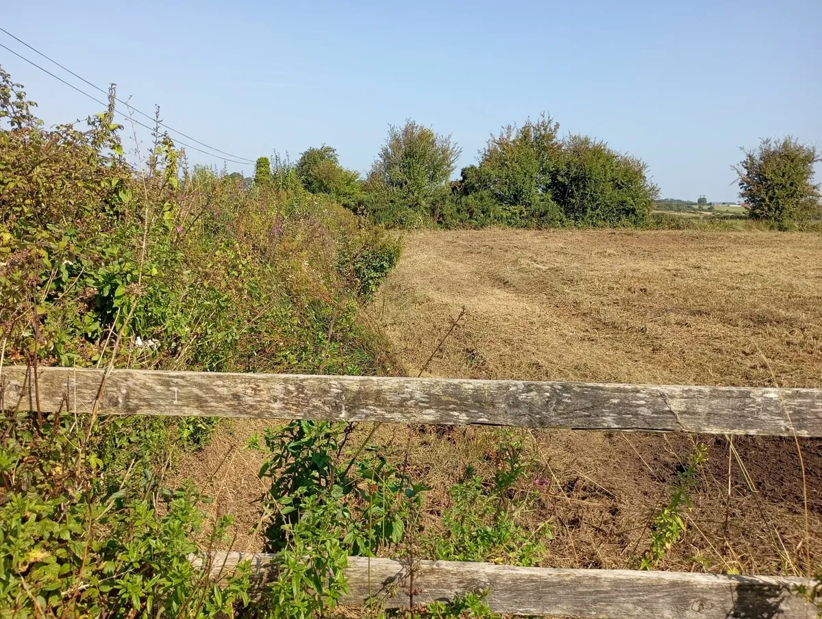 1.9 Acre Agricultural Land Tuam Co Galway - Image 3