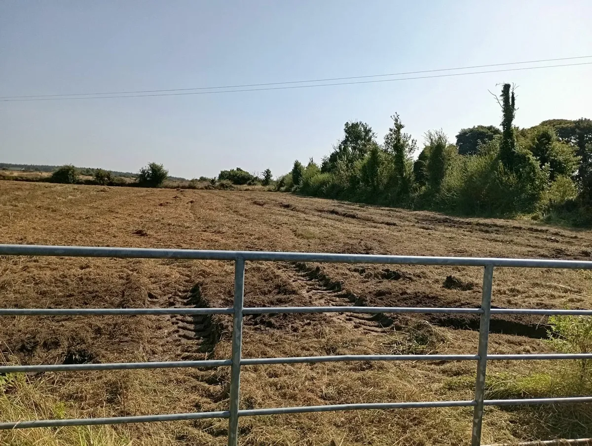 1.9 Acre Agricultural Land Tuam Co Galway - Image 2