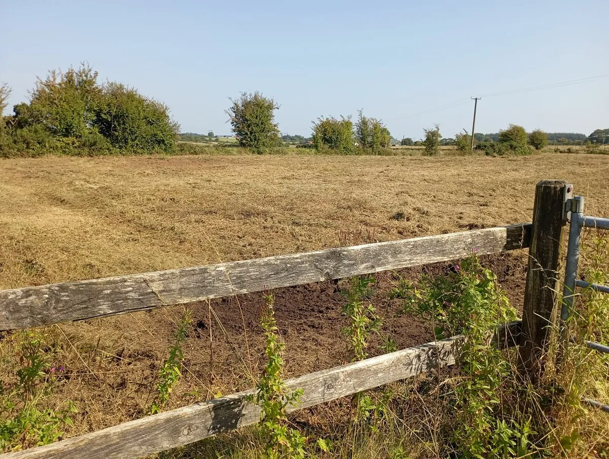 1.9 Acre Agricultural Land Tuam Co Galway - Image 4