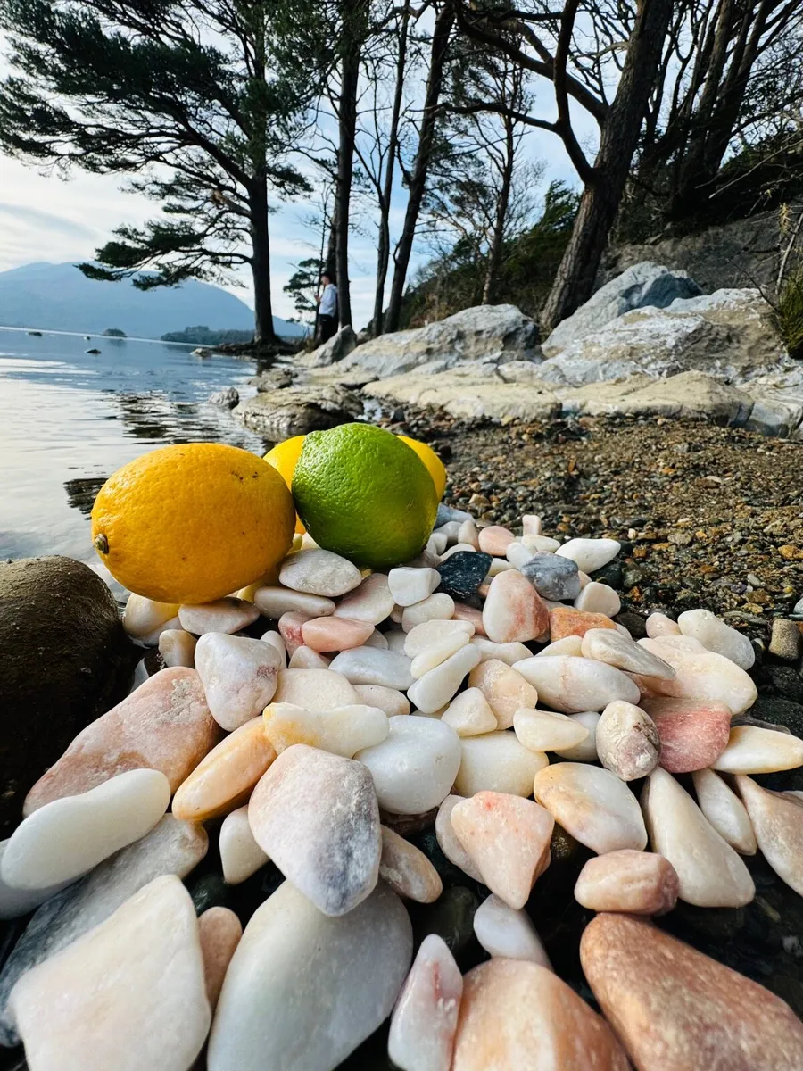 Stone decorative - Image 4