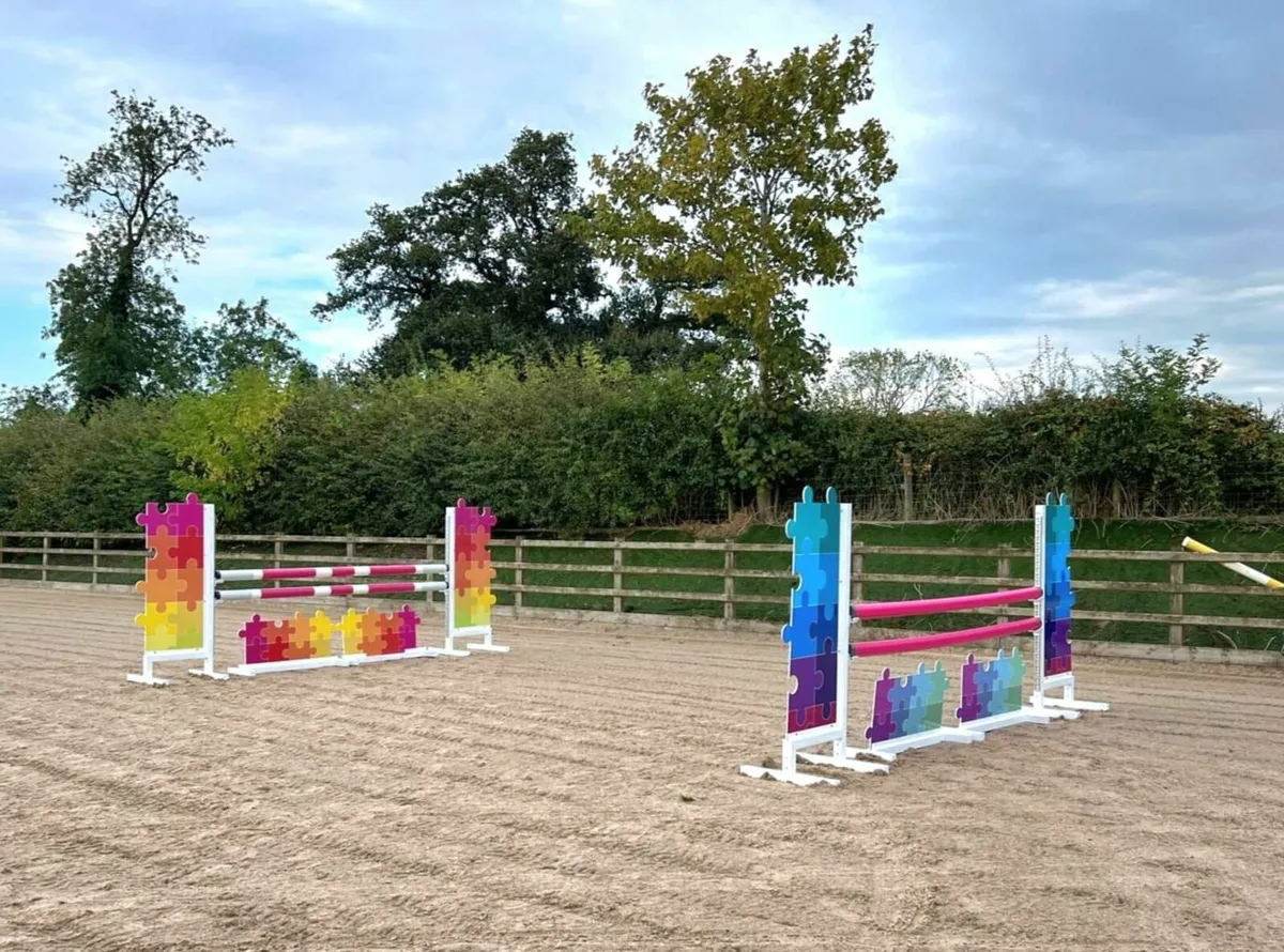 Largest selections of Show Jumps and accessaries - Image 3