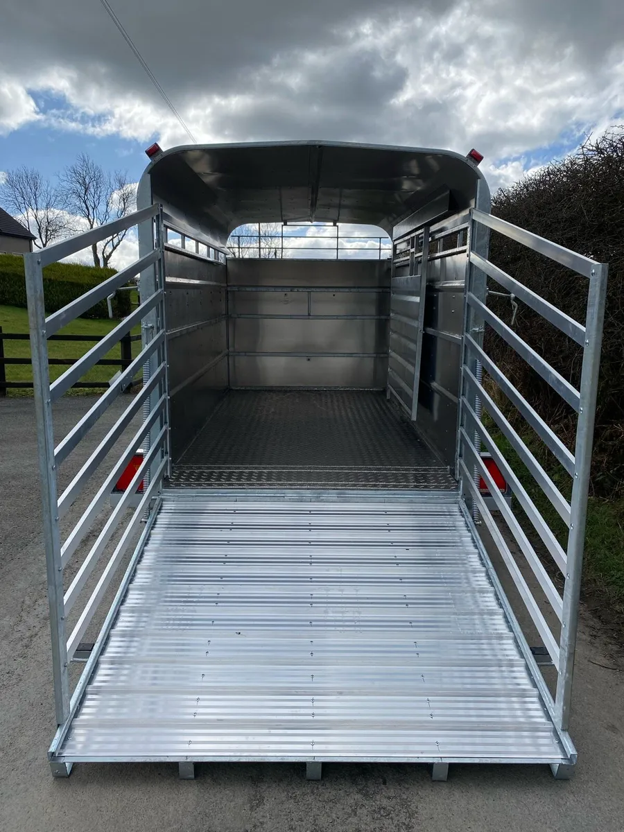 New TuffMac (12x6) Livestock Trailer M.T GIFFIN - Image 4