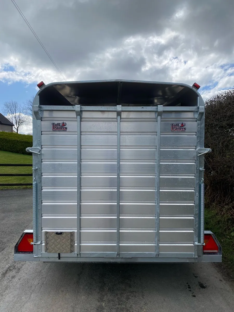 New TuffMac (12x6) Livestock Trailer M.T GIFFIN - Image 3