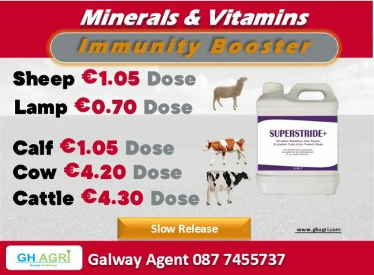 Order Chelated  Mineral + Vitamins (Galway) - Image 2