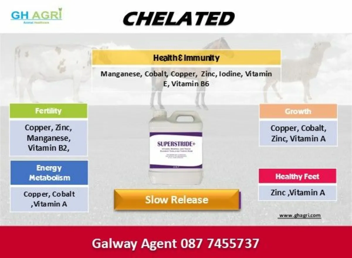 Order Chelated  Mineral + Vitamins (Galway) - Image 3