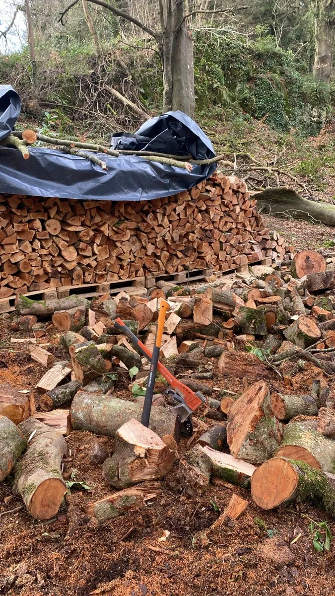 Seasoned Firewood - Image 4