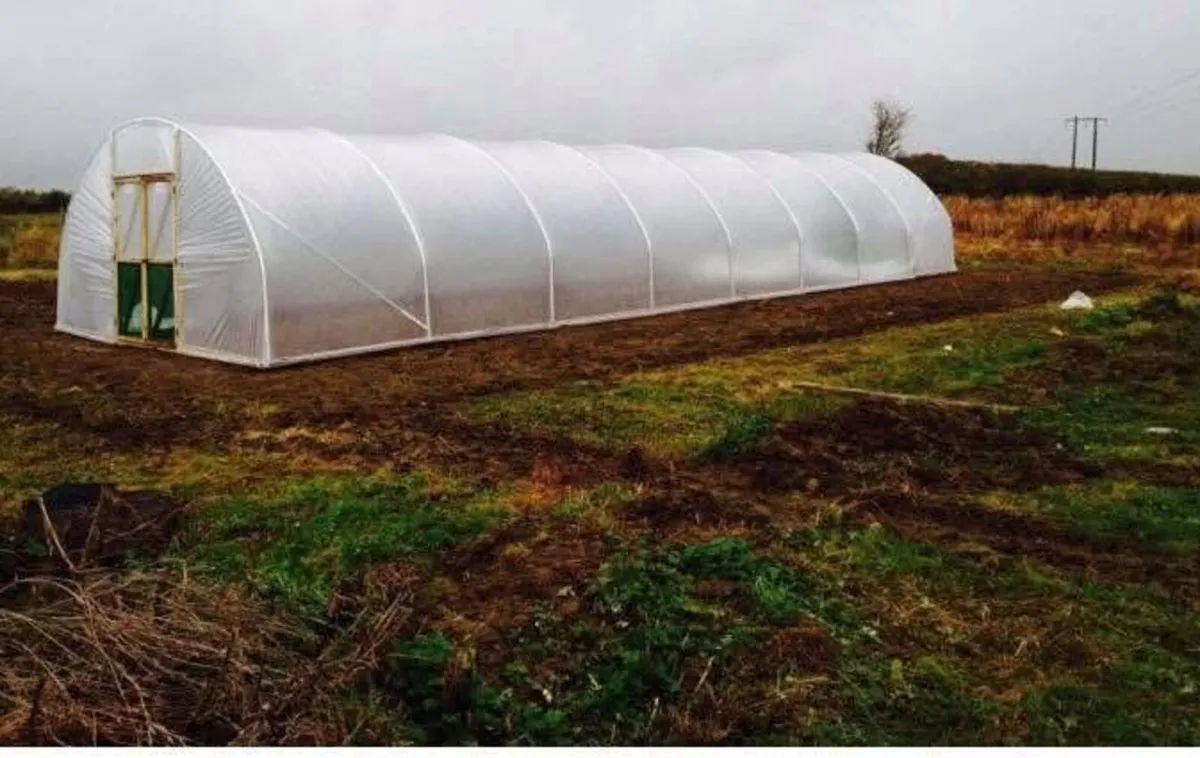 Polytunnel / Poly Greenhouse - Image 1