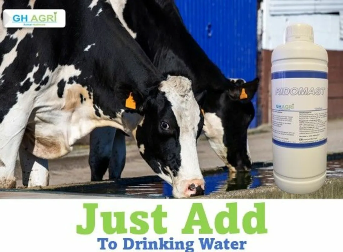 €14 per cow 12 month progam - Image 4