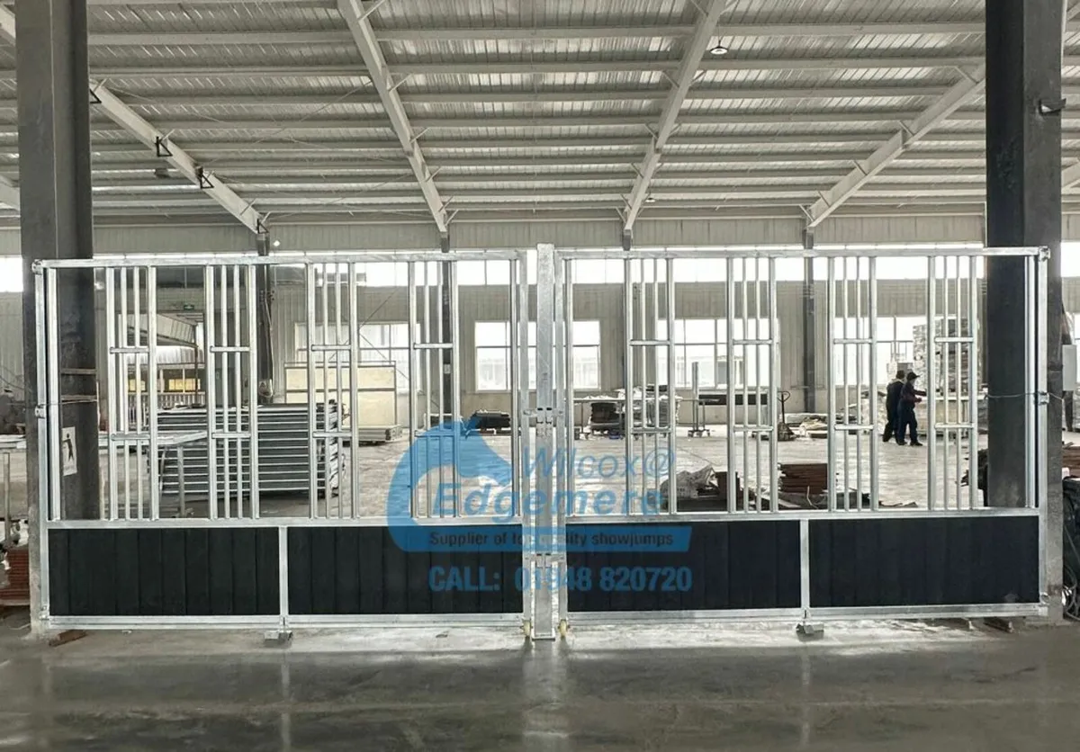 Young Horse Feeder Fronts  immediate delivery - Image 3