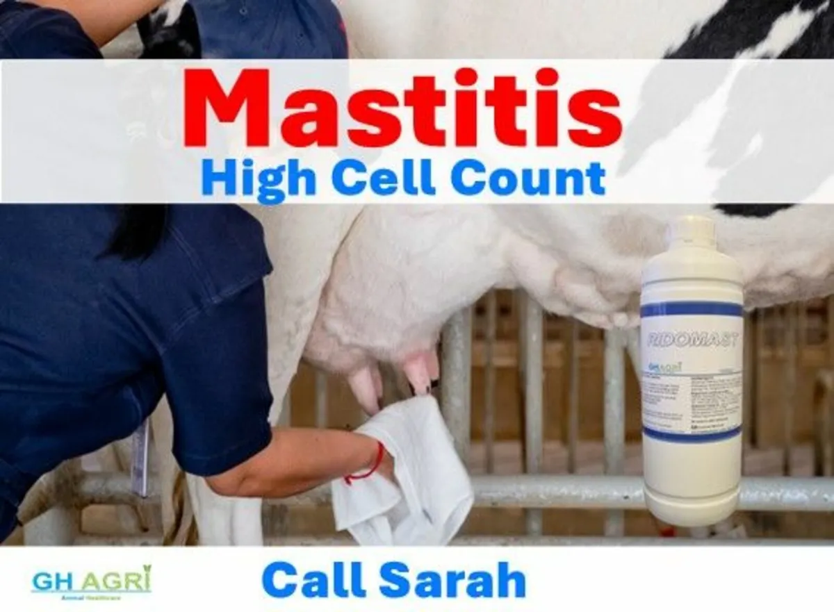 SCC Mastitis Program €14 per Cow - Image 3