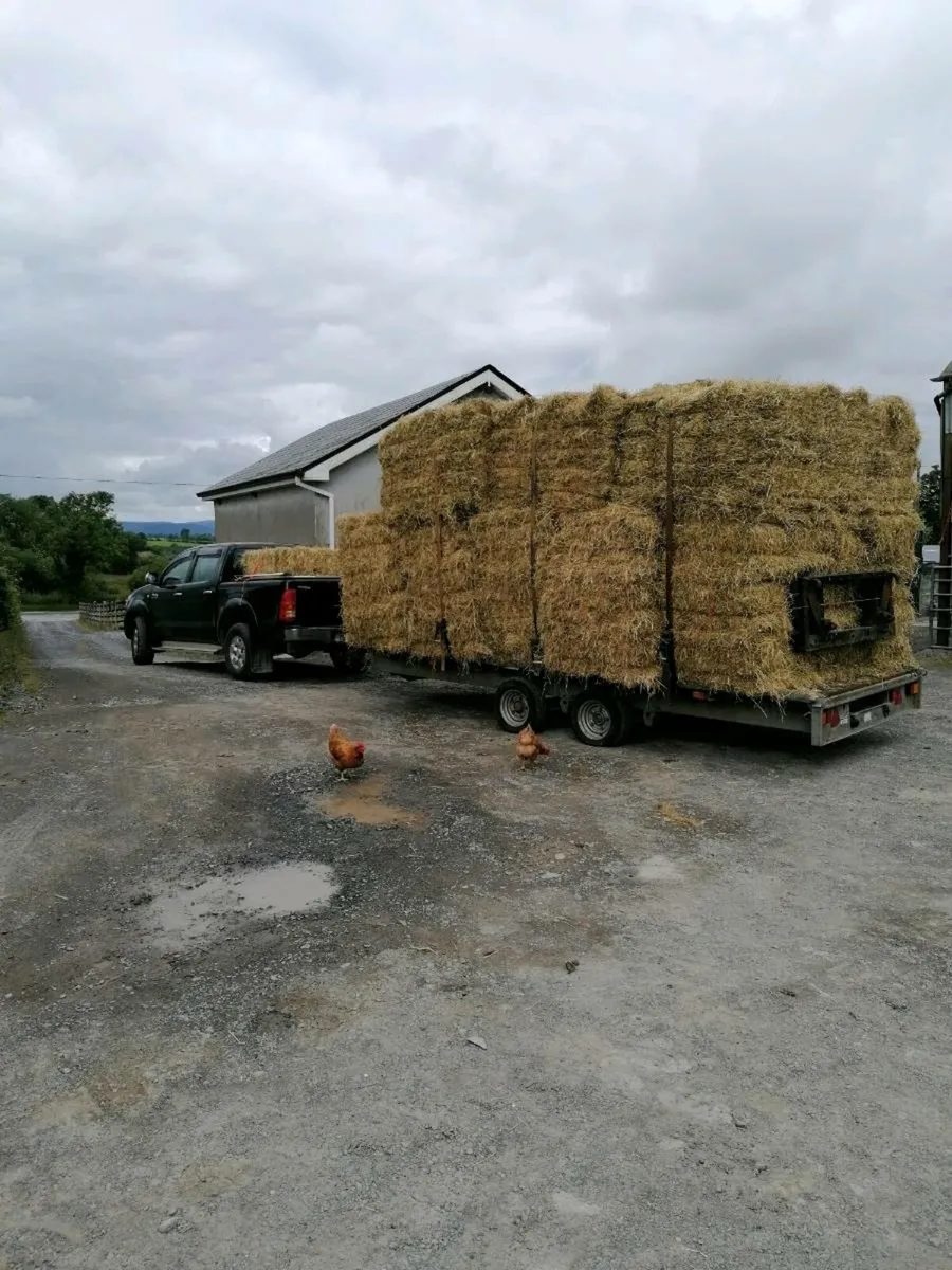 Small square bales hay straw - Image 2