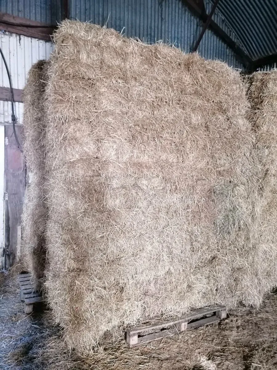 Small square bales hay straw - Image 3
