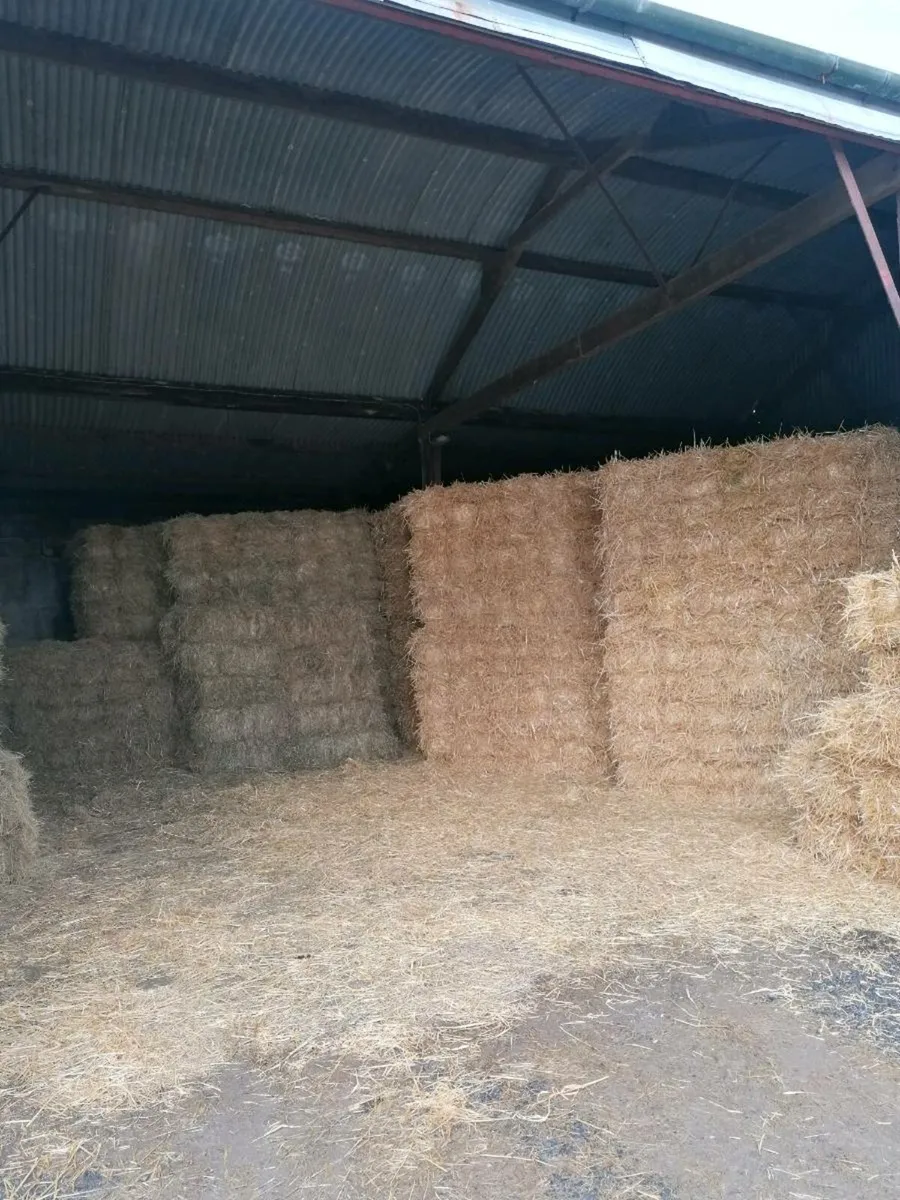 Small square bales hay straw - Image 1