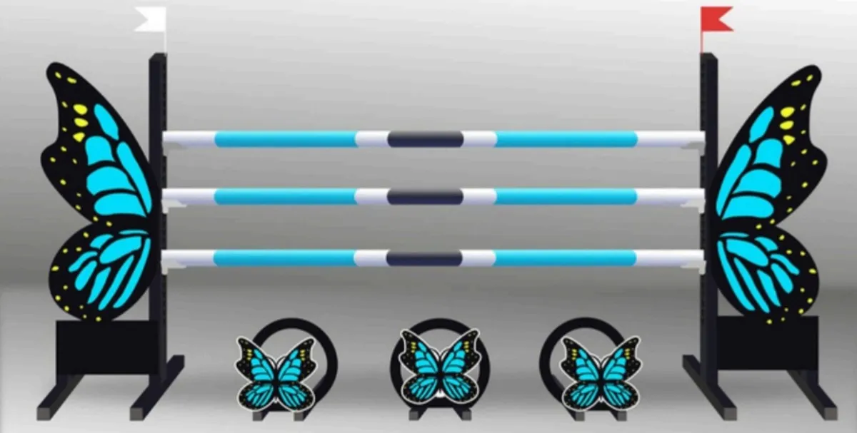 Full Range Of Show Jumps & Accessories - Image 4