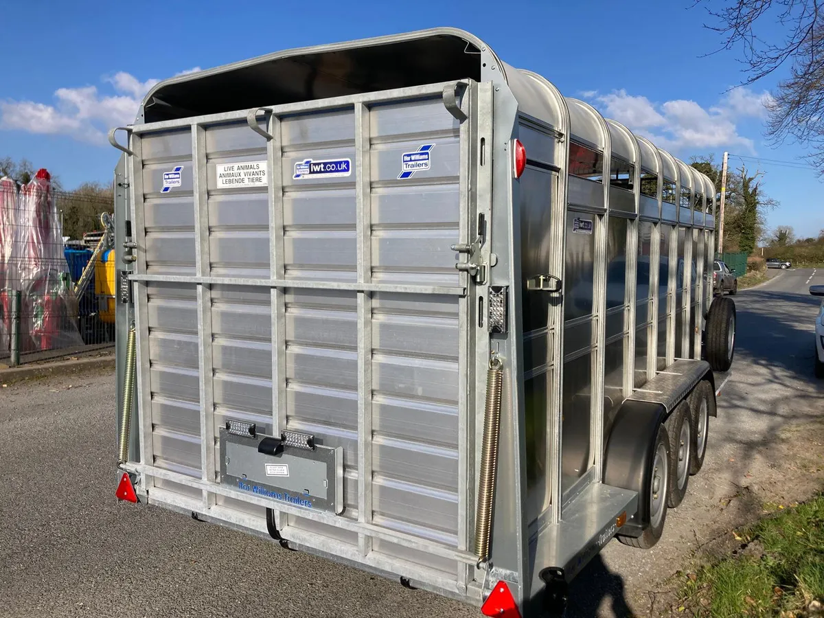 NEW Ifor Williams 16ft Cattle Trailer IN STOCK - Image 2