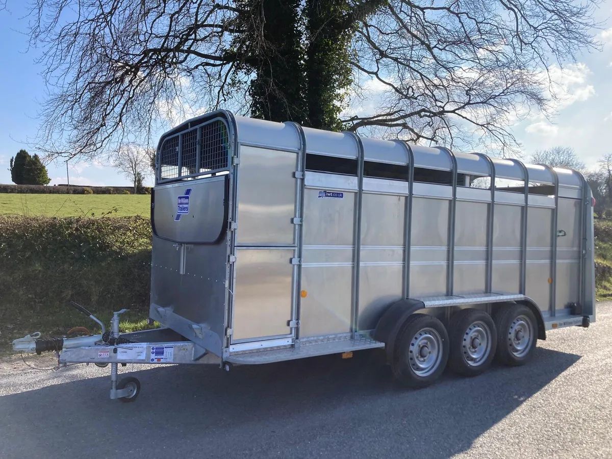 NEW Ifor Williams 16ft Cattle Trailer IN STOCK - Image 1