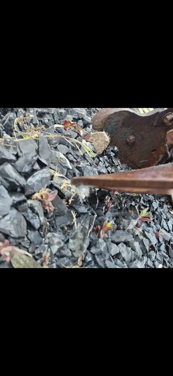 Wexford Engineering. Star plough - Image 3