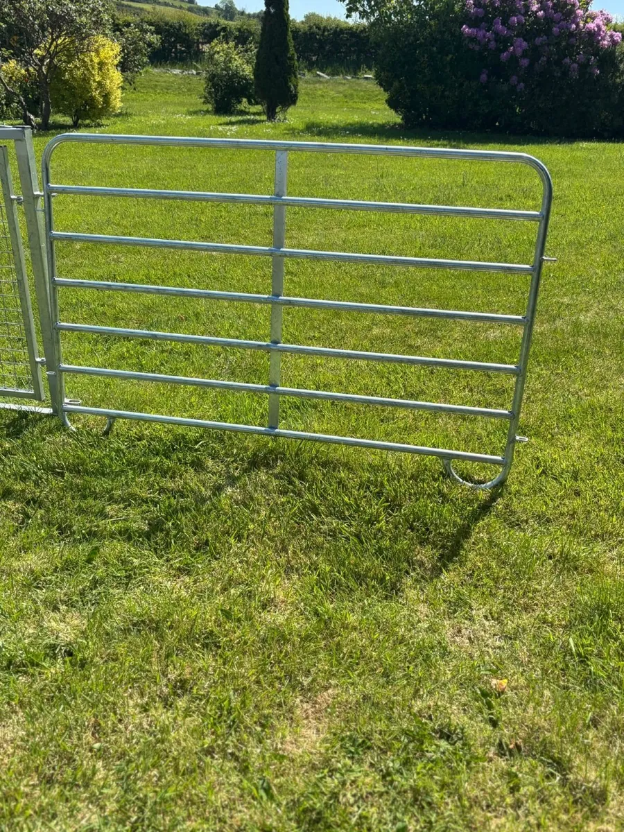 Sheep races and calf/sheep  hurdles - Image 2