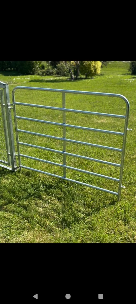 Sheep races and calf/sheep  hurdles - Image 3