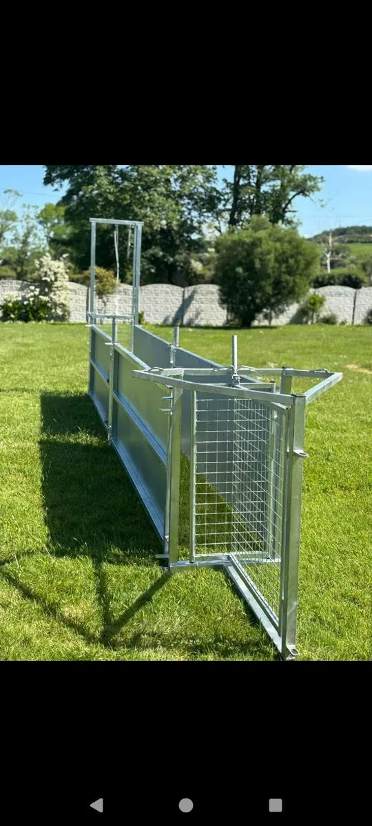 Sheep races and calf/sheep  hurdles - Image 4