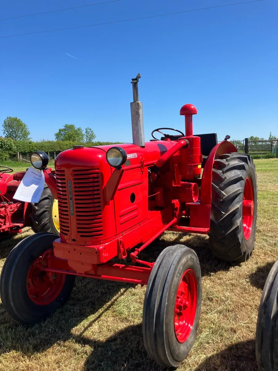 David brown 50d - Image 1