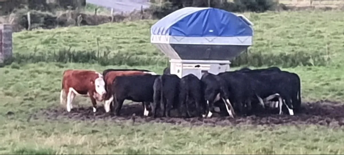 Solar Feeder 4 Tonne Profit maker, - Image 2