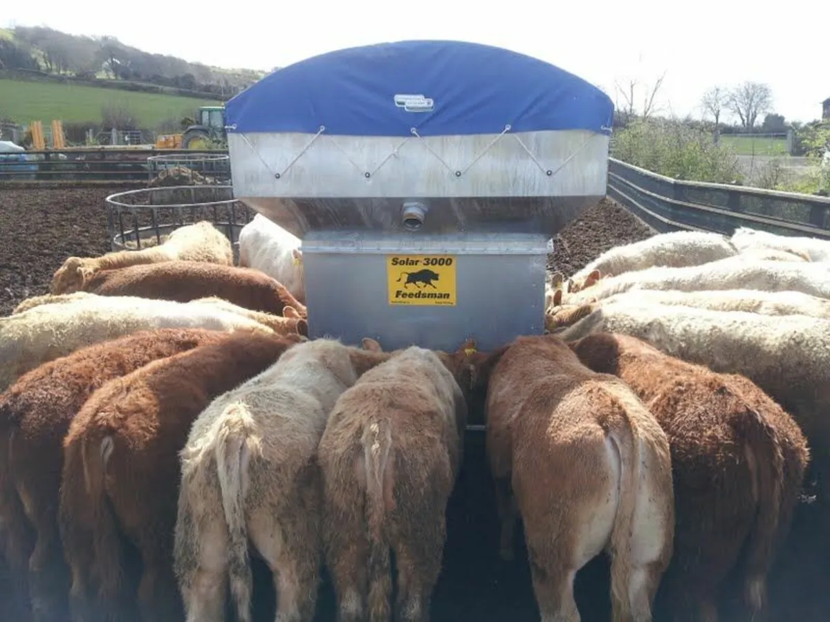 Solar Feeder 4 Tonne Profit maker, - Image 4