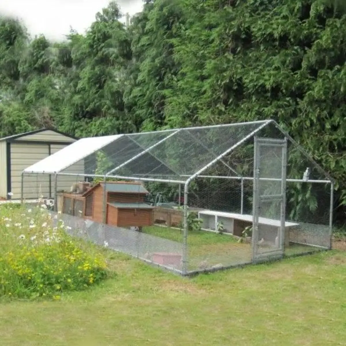 Hen Run with a Free Cover – 6m x 3m x 2m – 20ft x - Image 1