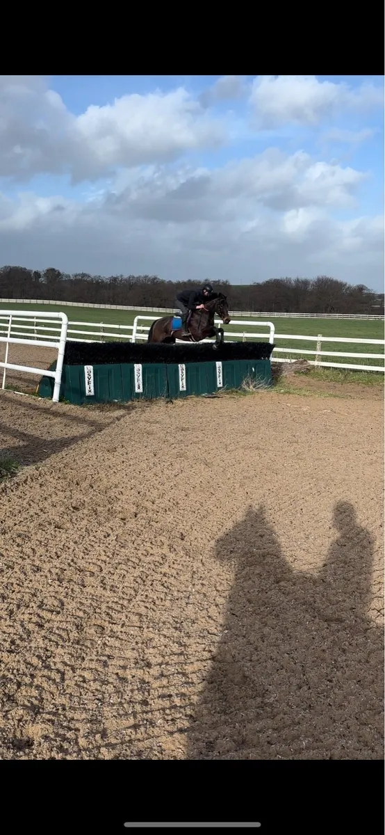 Breaking/Schooling/Competition/Sales/PreTraining - Image 3