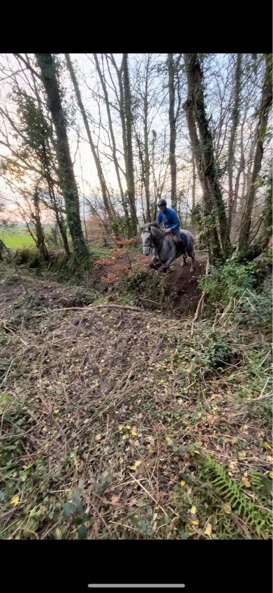 Breaking/Schooling/Sales/Competition/PreTraining - Image 4