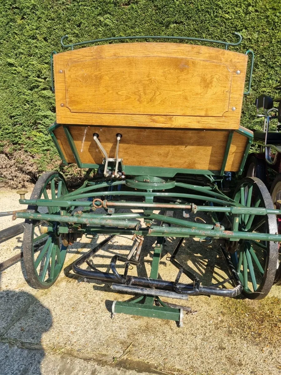 Wagonette - Image 2