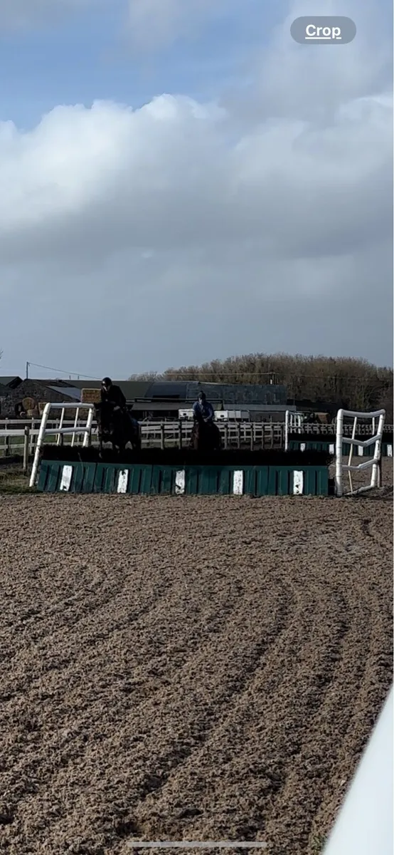 Breaking/Schooling/Sales/Competition/PreTraining - Image 2