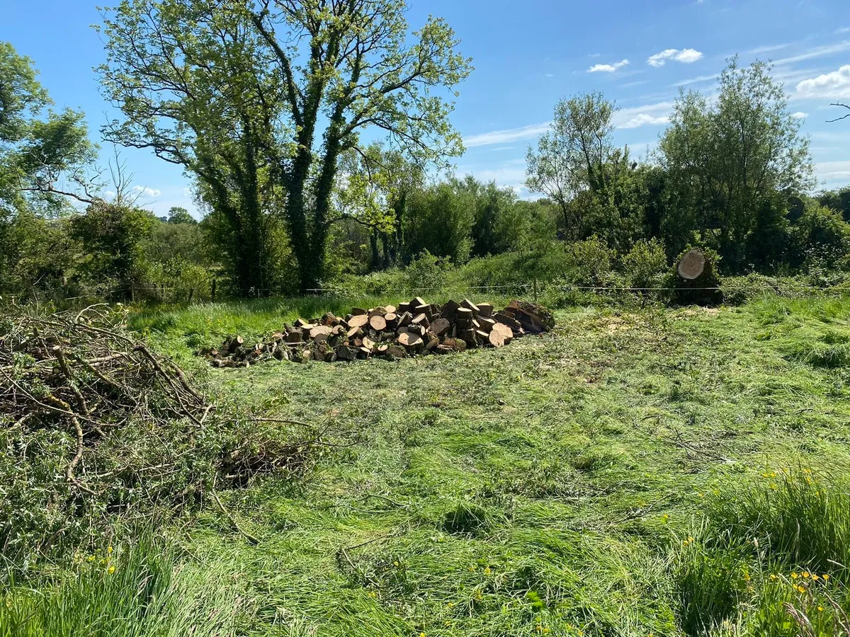 Chainsaw work/Tree felling/hedge trimming - Image 4
