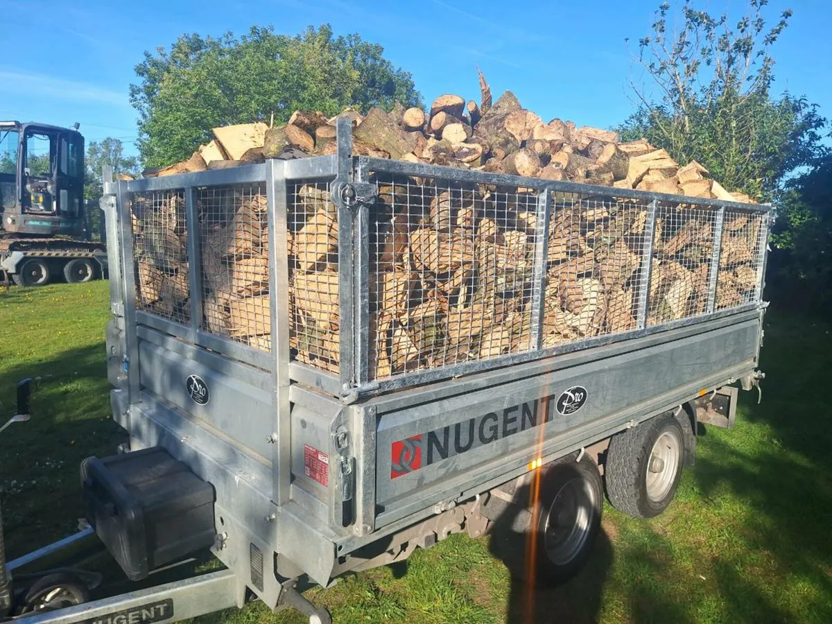 Ash firewood - Image 1